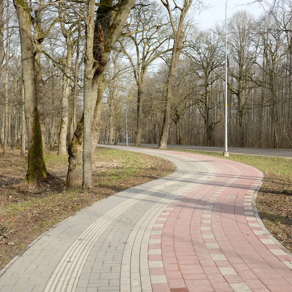 Modern Slingrande Gång Och Cykelväg Genom Skogsparken Tidig Vår Mäktiga — Stockfoto