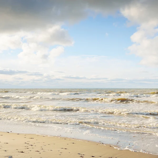 Panoramic View Baltic Sea Sandy Shore Sand Dunes Clear Sky — Fotografia de Stock