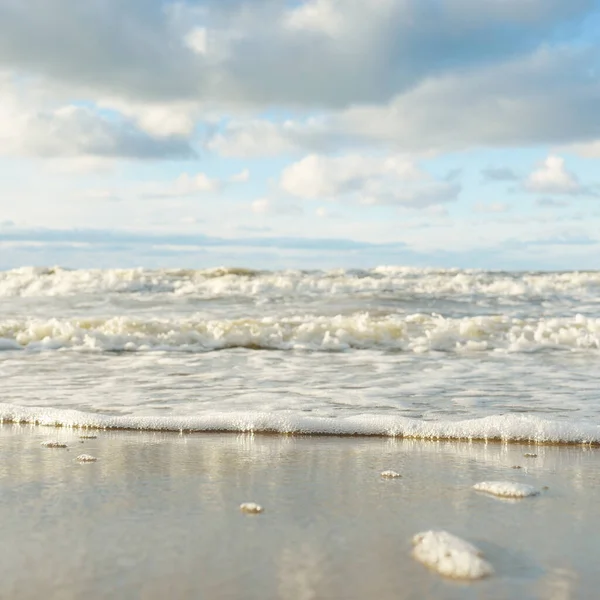 Vista Panorâmica Mar Báltico Partir Uma Costa Arenosa Dunas Areia — Fotografia de Stock