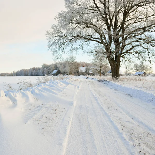Güneşli bir günde karla kaplı tarlaların ve köyün içinden geçen yol. Arka plandaki kır evleri. Idyllic manzara. Noel tatilleri, eko turizm, yürüyüş, kayak, uzak yerler, off-road teması