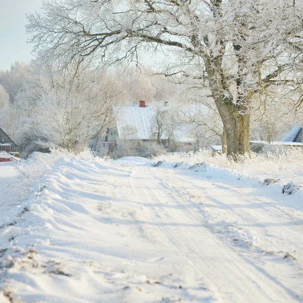 Güneşli bir günde karla kaplı tarlaların ve köyün içinden geçen yol. Arka plandaki kır evleri. Idyllic manzara. Noel tatilleri, eko turizm, yürüyüş, kayak, uzak yerler, off-road teması