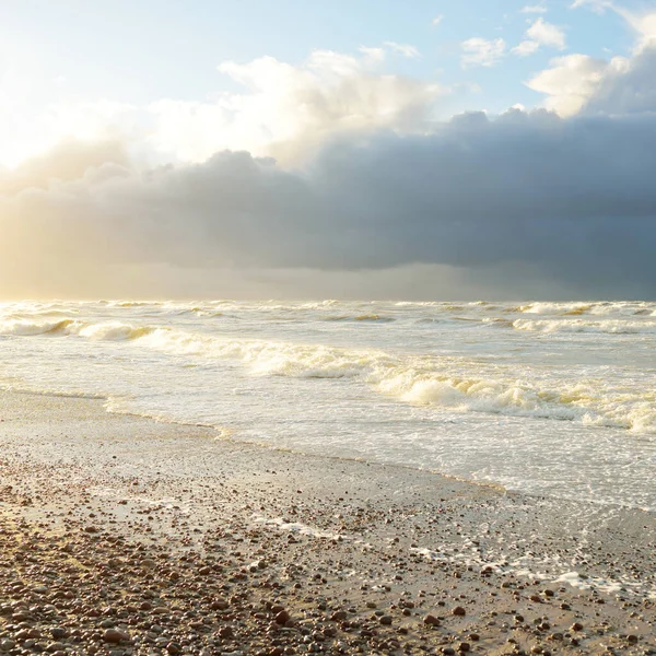 Fırtınadan sonra Baltık kıyıları (kum tepeleri, plaj). Dramatik gökyüzü, parlayan bulutlar. Resimli panoramik manzara. Doğa, çevre, ekoloji, eko-turizm, yürüyüş, keşif kavramları