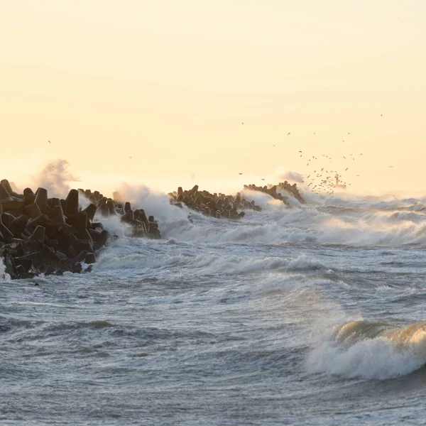 Gün batımında Baltık kıyısı. Yumuşak altın güneş ışığı, parlayan gökyüzü, dalgalar. Idyllic deniz manzarası. Seyahat yerleri, eko turizm, doğa, hava durumu, iklim değişikliği. Resimli panoramik manzara