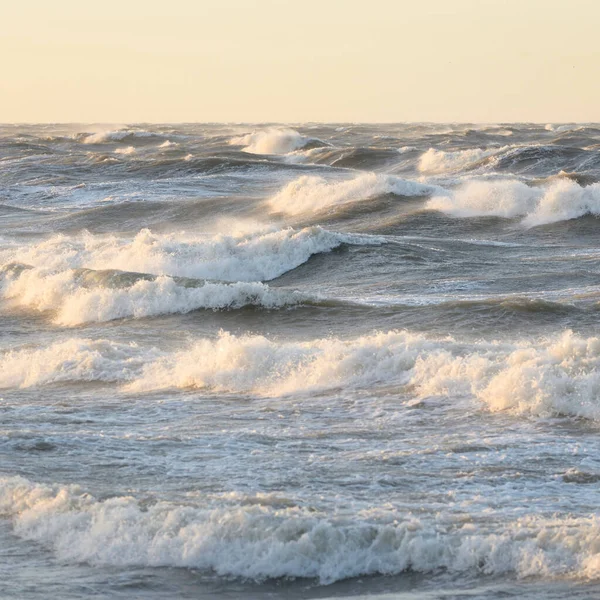 Baltic Sea Shore Sunset Soft Golden Sunlight Glowing Sky Waves — Stock Photo, Image