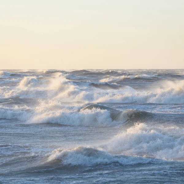 Gün batımında Baltık kıyısı. Yumuşak altın güneş ışığı, parlayan gökyüzü, dalgalar. Idyllic deniz manzarası. Seyahat yerleri, eko turizm, doğa, hava durumu, iklim değişikliği. Resimli panoramik manzara