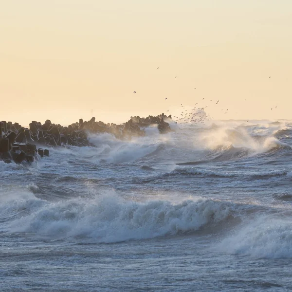 Gün batımında Baltık kıyısı. Yumuşak altın güneş ışığı, parlayan gökyüzü, dalgalar. Idyllic deniz manzarası. Seyahat yerleri, eko turizm, doğa, hava durumu, iklim değişikliği. Resimli panoramik manzara