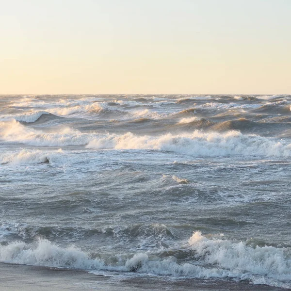 Gün batımında Baltık kıyısı. Yumuşak altın güneş ışığı, parlayan gökyüzü, dalgalar. Idyllic deniz manzarası. Seyahat yerleri, eko turizm, doğa, hava durumu, iklim değişikliği. Resimli panoramik manzara