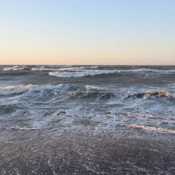 Gün batımında Baltık kıyısı. Yumuşak altın güneş ışığı, parlayan gökyüzü, dalgalar. Idyllic deniz manzarası. Seyahat yerleri, eko turizm, doğa, hava durumu, iklim değişikliği. Resimli panoramik manzara