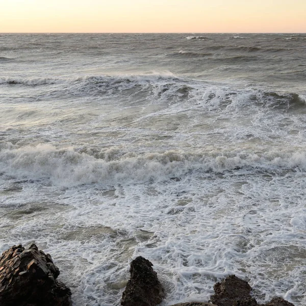 Gün batımında Baltık kıyısı. Yumuşak altın güneş ışığı, parlayan gökyüzü, dalgalar. Idyllic deniz manzarası. Seyahat yerleri, eko turizm, doğa, hava durumu, iklim değişikliği. Resimli panoramik manzara