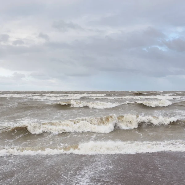 Fırtınadan sonra Baltık Denizi. Gün batımı. Resimli panoramik manzara, deniz manzarası. Doğa, çevre, sert hava, iklim değişikliği