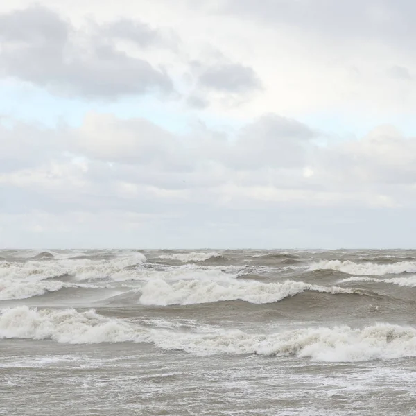 Fırtınadan sonra Baltık Denizi. Gün batımı. Resimli panoramik manzara, deniz manzarası. Doğa, çevre, sert hava, iklim değişikliği