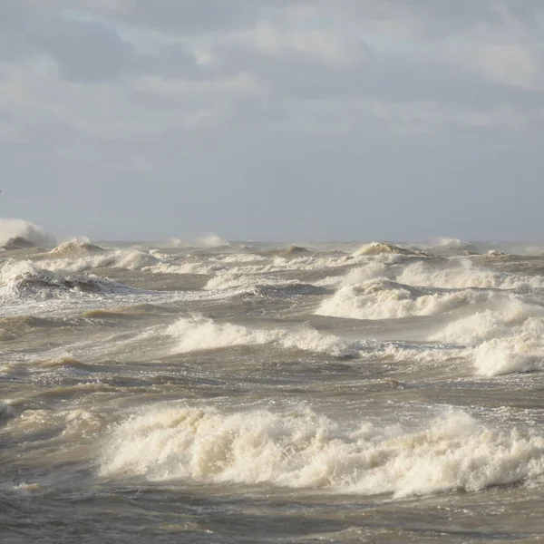 Baltic Sea Storm Sunset Picturesque Panoramic Scenery Seascape Nature Environment — Photo