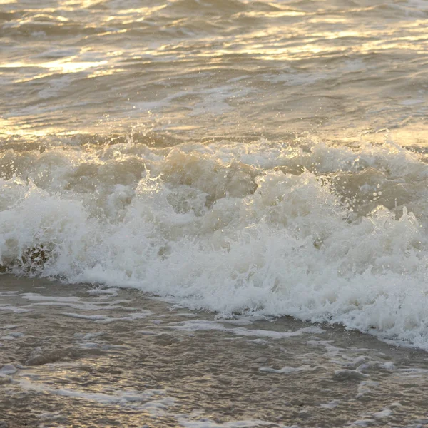 Fırtınadan sonra Baltık kıyıları. Gün batımı, yumuşak güneş ışığı. Su yüzeyi dokusu, çarpan dalgalar, sıçramalar, köpük. Resimli panoramik manzara. Idyllic deniz manzarası. Doğa, çevre, ekoloji temaları