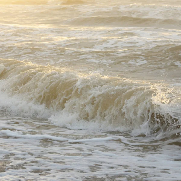Fırtınadan sonra Baltık kıyıları. Gün batımı, yumuşak güneş ışığı. Su yüzeyi dokusu, çarpan dalgalar, sıçramalar, köpük. Resimli panoramik manzara. Idyllic deniz manzarası. Doğa, çevre, ekoloji temaları