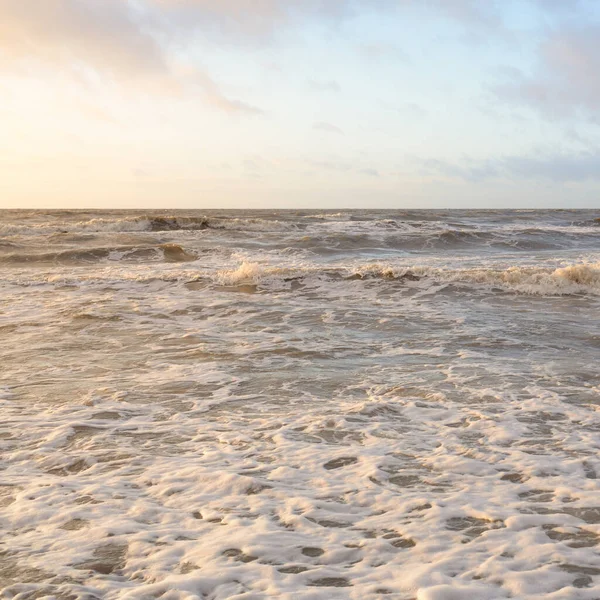 Gün batımında Baltık Denizi. Dramatik gökyüzü, mavi ve pembe parlayan bulutlar, altın güneş ışığı. Dalgalar, su sıçratma. Resimli manzara, deniz manzarası, doğa. Panoramik görünüm,