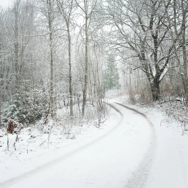 多云的冬日 乡村道路 穿过威严的白雪覆盖的森林 暴风雪过后雪山接踵而至 圣诞假期 生态旅游 — 图库照片