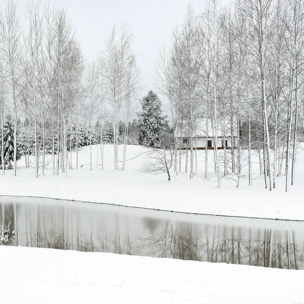 Forest River Lonely Modern Traditional House Cloudy Winter Day Blizzard — Foto Stock