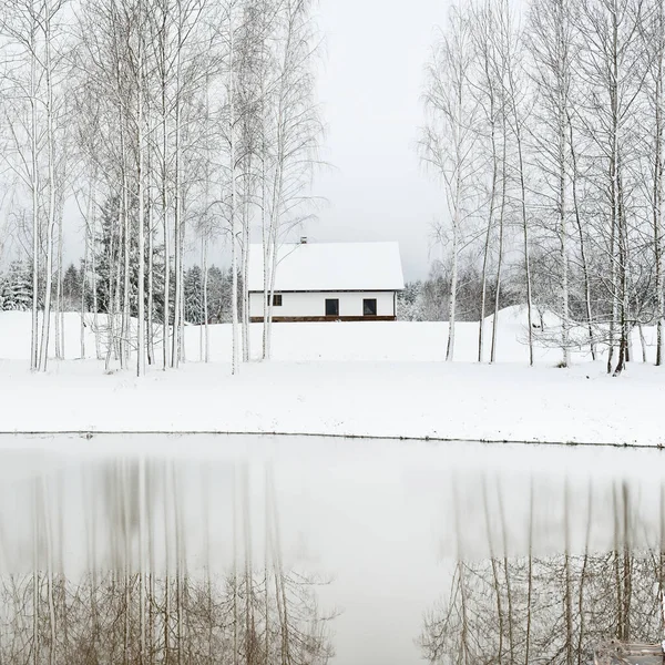 Forest River Solitario Casa Tradizionale Moderna Una Giornata Invernale Nuvoloso — Foto Stock