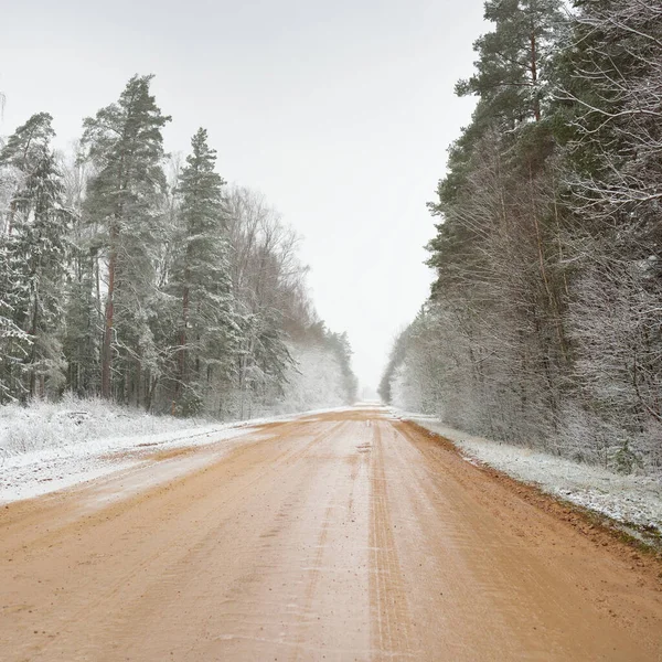 乡间石子路穿过白雪覆盖的常绿森林 高大的松树和云杉树 大自然 圣诞节假期 偏远地区 越野车 危险驾驶的概念 — 图库照片