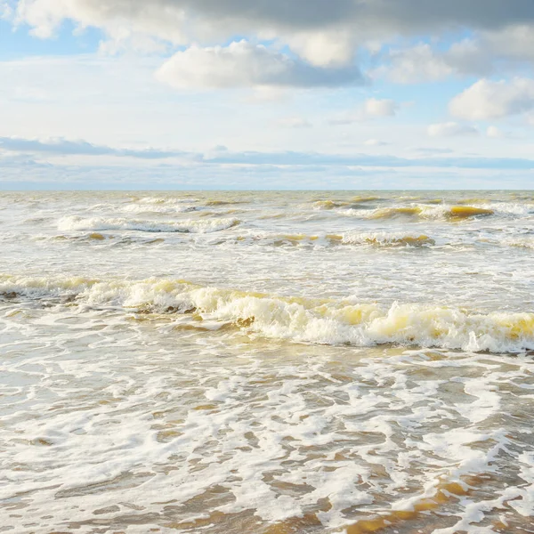 Kumlu bir sahilden (kum tepeleri) Baltık denizinin panoramik görüntüsü. Parlayan bulutlarla, dalgalarla ve su sıçramalarıyla berrak bir gökyüzü. Idyllic deniz manzarası. Sıcak kış havası, iklim değişikliği, doğa