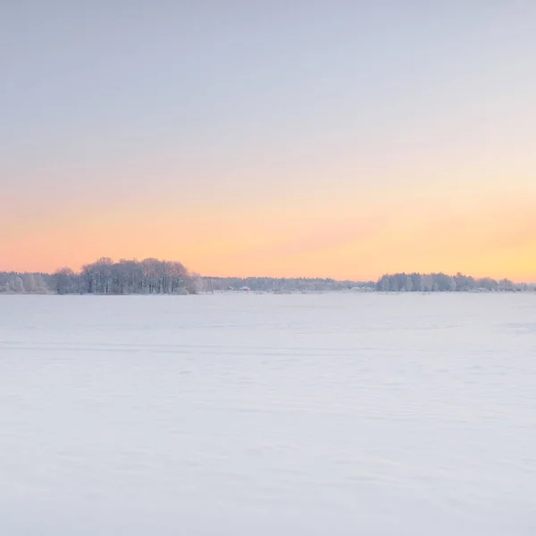 Atmospheric Landscape Snow Covered Field Forest Meadow Sunrise Pure Golden — Stockfoto