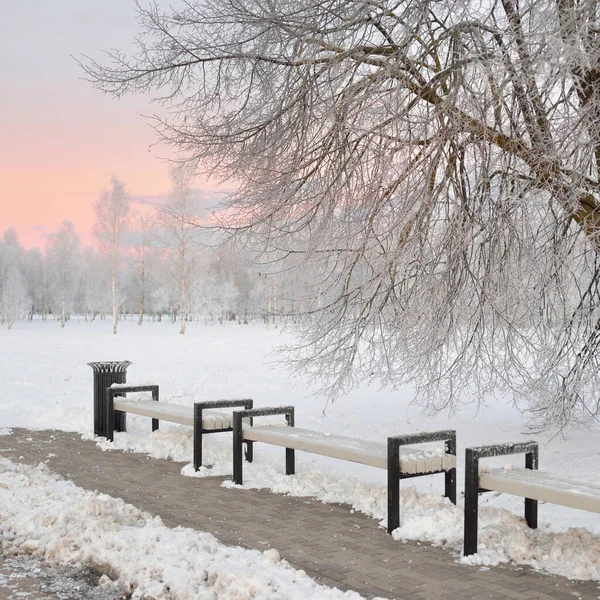 Bus Stop Recreational Area Bench Close Sunrise Snow Drifts Winter — стоковое фото