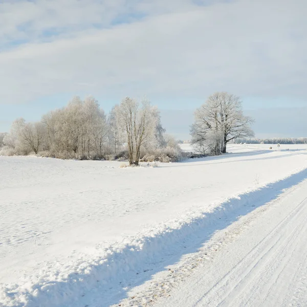 Landweg Door Besneeuwde Velden Landelijk Gebied Zicht Vanuit Auto Sneeuwvlokken — Stockfoto