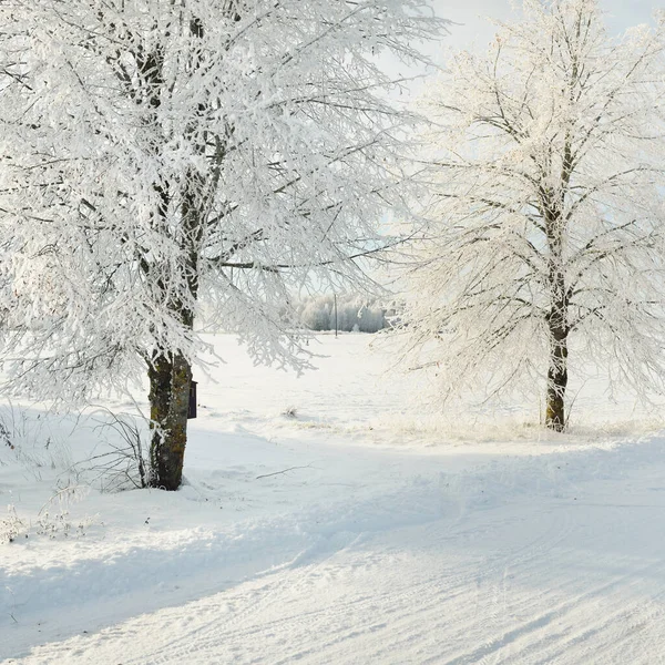 雪に覆われたフィールド 農村部を介して田舎道 車からの眺め 雪のドリフト ヨーロッパだ クリスマス休暇 遠隔地 冬のタイヤ 危険な運転の概念 — ストック写真