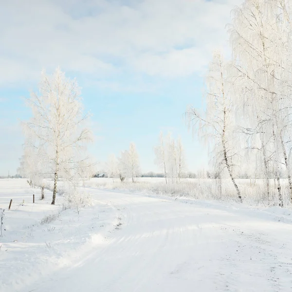 Landweg Door Besneeuwde Velden Landelijk Gebied Zicht Vanuit Auto Sneeuwvlokken — Stockfoto