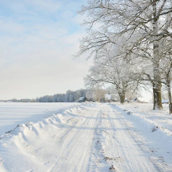 Pathway Snow Covered Fields Village Sunny Day Country Houses Background — ストック写真