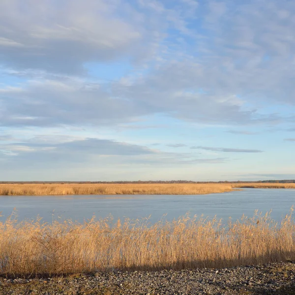 Панорамний Вид Блакитне Лісове Озеро Річка Заході Сонця Яке Сонячне — стокове фото
