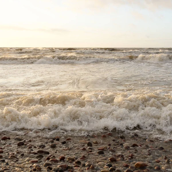 Gün batımında Baltık Denizi. Dramatik gökyüzü, mavi ve pembe parlayan bulutlar, altın güneş ışığı. Dalgalar, su sıçratma. Resimli manzara, deniz manzarası, doğa. Panoramik görünüm,