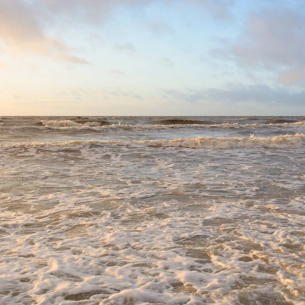 Gün batımında Baltık Denizi. Dramatik gökyüzü, mavi ve pembe parlayan bulutlar, altın güneş ışığı. Dalgalar, su sıçratma. Resimli manzara, deniz manzarası, doğa. Panoramik görünüm,