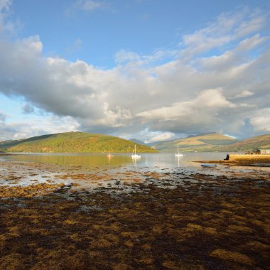 Yelkenli göle demir attı. Görkemli orman tepeleri. İskoçya, İngiltere. Atmosferik manzara. Seyahat yerleri, yelkencilik, seyir, eko turizm, yürüyüş, doğa, çevre koruma