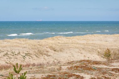 Güneşli bir günde Baltık Denizi kıyısı. Kumlu kumsal kumullarından görüntü). Açık mavi gökyüzü, turkuaz su. Idyllic deniz manzarası, manzara. Saf doğa, ekoloji, eko turizm, tatiller. İlkbahar, yazın başı