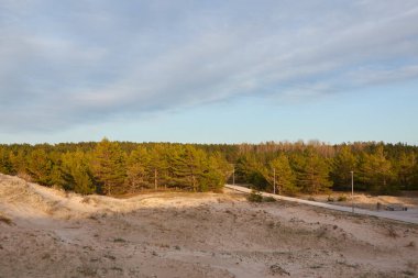 Güneşli bir günde Baltık kıyılarının havadan görünüşü. Modern tahta patika (tahta yol). Çam ağaçları. Kumsal, kum tepeleri, kum tepecikleri. Gökyüzü açık. Doğa, tatiller, eko turizm, yürüyüş, sağlıklı yaşam tarzı