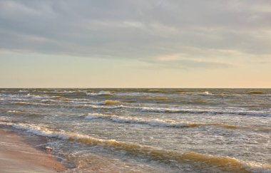 Fırtınadan sonra Baltık kıyıları (kum tepeleri, plaj). Gün batımı, yumuşak altın güneş ışığı, parlayan bulutlar. Resimli panoramik manzara. Doğa, çevre, ekoloji, eko-turizm, yürüyüş, keşif kavramları