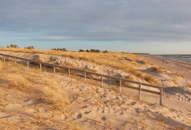 Gün batımında Baltık kıyısı. Modern ahşap patika ve merdiven. Kumsal, kum tepeleri, kum tepecikleri. Gökyüzü açık. Idyllic manzara. Doğa, tatiller, dinlenme, eko turizm, yürüyüş, sağlıklı yaşam tarzı