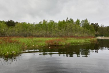 Kristal berrak bir orman gölü (nehir) kıyısından panoramik manzara. Dramatik gökyüzü, parlayan fırtına bulutları. Idyllic manzara. İlkbahar, yazın başı. Doğa, çevre, ekoloji, eko-turizm, yürüyüş