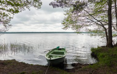 Orman gölüne demir atmış küçük yeşil bir tekne. İskandinavya. Ulaşım, geleneksel zanaat, eğlence, boş zaman aktivitesi, sağlıklı yaşam tarzı, yerel turizm, spor, kürek çekme, yürüyüş, yaz tatilleri temaları