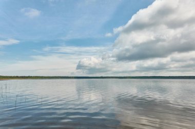 Kristal berrak bir orman gölü (nehir) kıyısından panoramik manzara. Idyllic manzara. İlkbahar, yazın başı. Doğa, çevre, ekoloji, eko-turizm, yürüyüş, tatiller, yüzme ve rahatlatıcı temalar