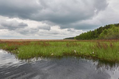 Kristal berrak bir orman gölü (nehir) kıyısından panoramik manzara. Dramatik gökyüzü, parlayan fırtına bulutları. Idyllic manzara. İlkbahar, yazın başı. Doğa, çevre, ekoloji, eko-turizm, yürüyüş