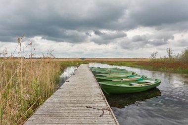 Orman gölüne demir atmış küçük yeşil bir tekne. İskandinavya. Ulaşım, geleneksel zanaat, eğlence, boş zaman aktivitesi, sağlıklı yaşam tarzı, yerel turizm, spor, kürek çekme, yürüyüş, yaz tatilleri temaları