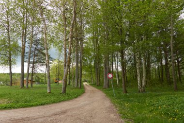 Orman köyünden geçen kırsal yol. Yumuşak güneş ışığı. İlkbahar, yazın başı. Çevre, ekoloji, doğa, turizm, yürüyüş, bisiklet, yürüyüş, yaşam tarzı. Idyllic manzara