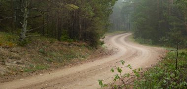 Ebedî yeşil çam ormanında (patika) dolambaçlı kırsal yol. Sis, yağmurlu bir gün. Kum tepeleri. İskandinavya. Doğa, çevre, ekoloji, gezgin şehvet, yürüyüş, keşif, off-road, uzak yerler
