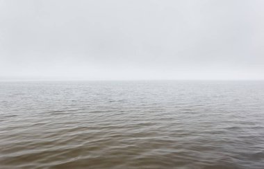 Orman gölü (nehir) manzarası. Yağmurlu bir gün, yoğun bir sis. Idyllic monokrom manzarası. Saf doğa, ekoloji, ekolojik rezerv, eko-turizm.