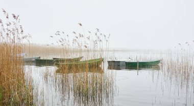 Orman gölüne demir atmış küçük bir balıkçı teknesi. Sis, yağmur. Sudaki yansımalar. Ulaşım, geleneksel zanaat, eğlence, boş zaman aktivitesi, sağlıklı yaşam tarzı, yerel turizm teması. Bahar manzarası