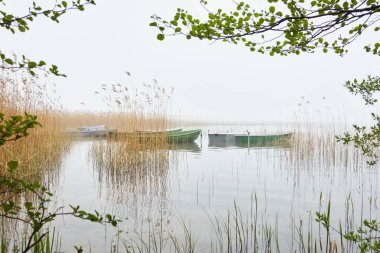 Orman gölüne demir atmış küçük bir balıkçı teknesi. Sis, yağmur. Sudaki yansımalar. Ulaşım, geleneksel zanaat, eğlence, boş zaman aktivitesi, sağlıklı yaşam tarzı, yerel turizm teması. Bahar manzarası