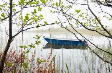 Orman gölüne demir atmış küçük bir balıkçı teknesi. Sis, yağmur. Sudaki yansımalar. Ulaşım, geleneksel zanaat, eğlence, boş zaman aktivitesi, sağlıklı yaşam tarzı, yerel turizm teması. Bahar manzarası