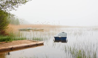 Orman gölüne demir atmış küçük bir balıkçı teknesi. Sis, yağmur. Sudaki yansımalar. Ulaşım, geleneksel zanaat, eğlence, boş zaman aktivitesi, sağlıklı yaşam tarzı, yerel turizm teması. Bahar manzarası